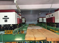 electronic jacquard machine with rapier loom manufacturers in india punjab ludhiana surat